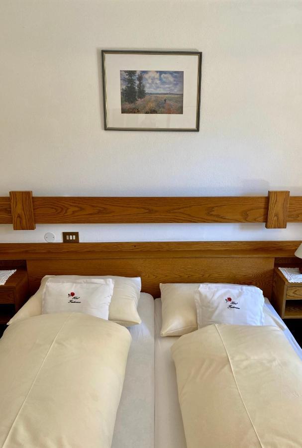 Friedemann Hotel 3*